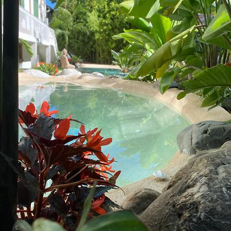 Appt Ambiance Boheme 2 Ch Piscine Lagon Apartment Tarbes Ngoại thất bức ảnh