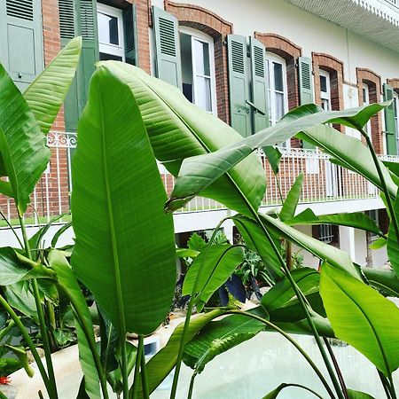 Appt Ambiance Boheme 2 Ch Piscine Lagon Apartment Tarbes Ngoại thất bức ảnh