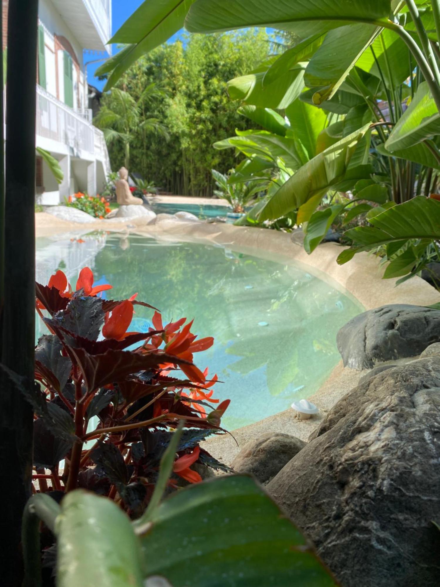 Appt Ambiance Boheme 2 Ch Piscine Lagon Apartment Tarbes Ngoại thất bức ảnh